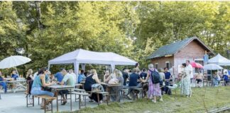 Les guinguettes de Mulhouse : des parenthèses estivales au cœur d’une ambiance bucolique