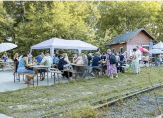 Les guinguettes de Mulhouse : des parenthèses estivales au cœur d’une ambiance bucolique