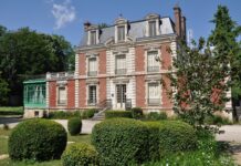 Un été de découvertes au Muséum d’Auxerre