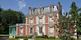Un été de découvertes au Muséum d’Auxerre