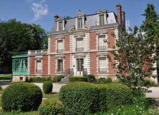 Un été de découvertes au Muséum d’Auxerre