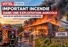 Vittel : un violent incendie détruit 1 200 tonnes de fourrage dans une exploitation agricole