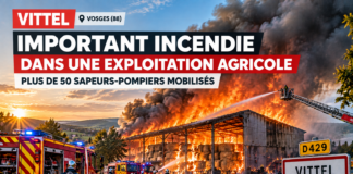 Vittel : un violent incendie détruit 1 200 tonnes de fourrage dans une exploitation agricole