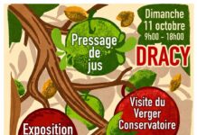 La Fête de la pomme revient à Dracy-sur-Ouanne ce dimanche