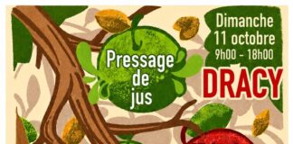 La Fête de la pomme revient à Dracy-sur-Ouanne ce dimanche