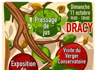 La Fête de la pomme revient à Dracy-sur-Ouanne ce dimanche