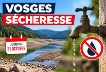 Sécheresse : les Vosges restent placées au niveau « crise » jusqu’au 31 octobre Sécheresse : les Vosges restent placées au niveau « crise » jusqu’au 31 octobre