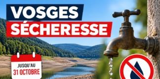 Sécheresse : les Vosges restent placées au niveau « crise » jusqu’au 31 octobre Sécheresse : les Vosges restent placées au niveau « crise » jusqu’au 31 octobre